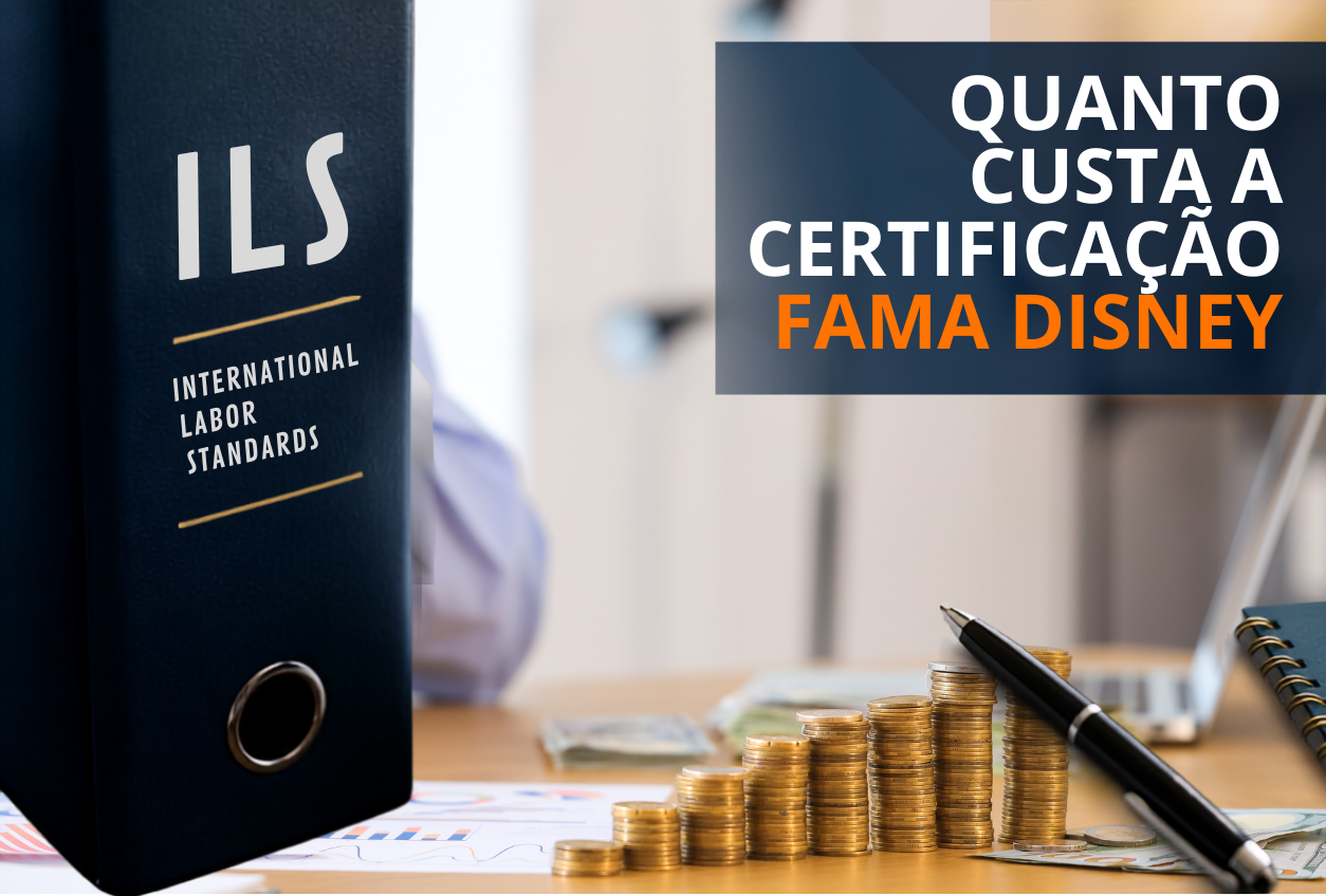 quanto custa certificação disney